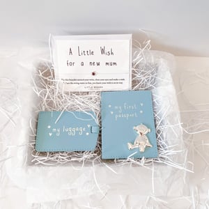 Baby Passport & Luggage Tag Blue Letterbox Gift Set