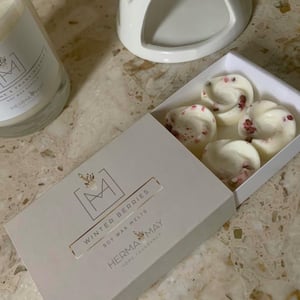 Winter Berries Soy Melt Box