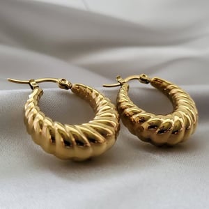 Tianna Croissant Earrings