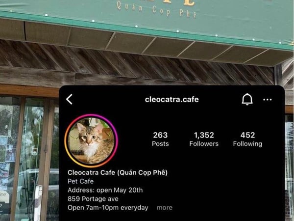 Cleocatra Cafe