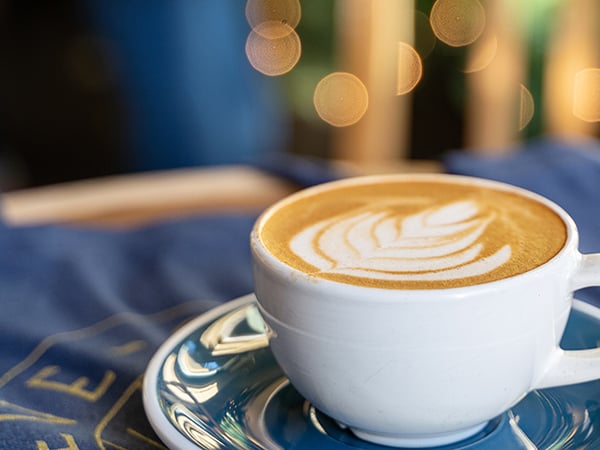 Steve-O-Reno's Cappuccino