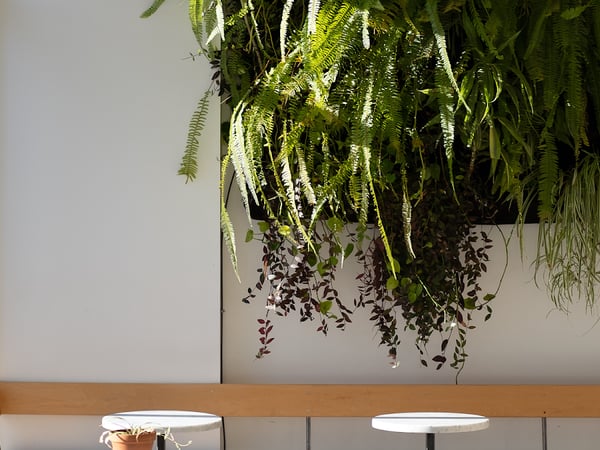 Thom Bargen Coffee Roasters (Kennedy)