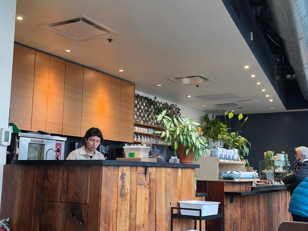 Elysian Coffee Roasters