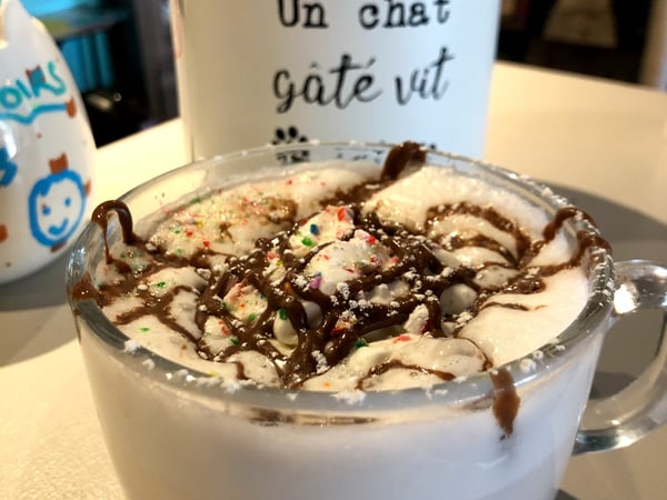 Cafe Felin Ma Langue Aux Chats