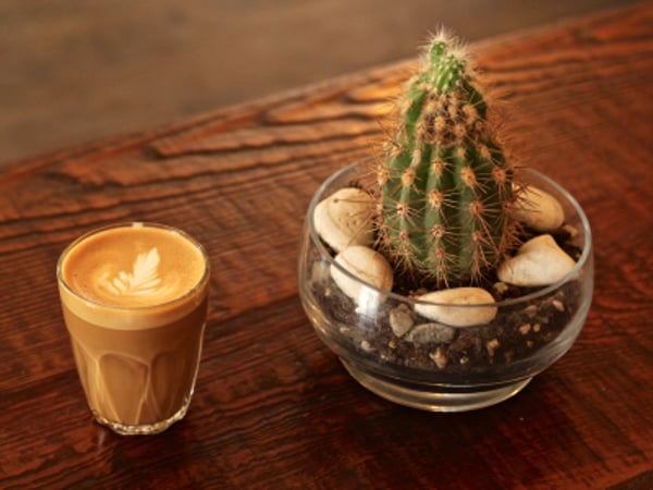 Café Myriade - Plateau