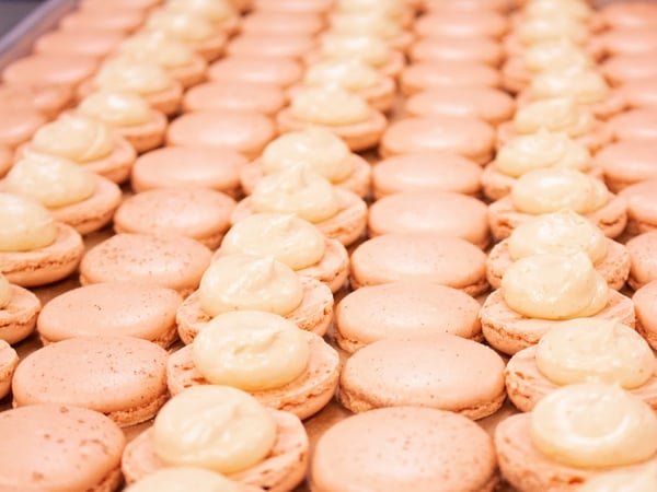 Little Duchess Bake Shop