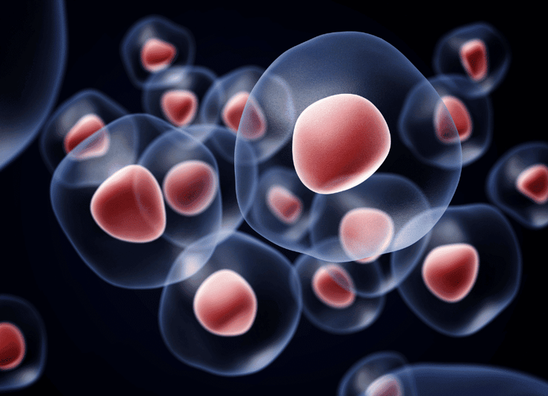 Illustration of translucent cells with visible nuclei, floating against a dark background, reminiscent of how red light therapy works at the cellular level.