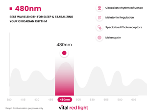 Infographic highlighting the transformative effects of the 480nm wavelength, optimal for sleep and circadian rhythm stabilization. Features include circadian rhythm influence, melatonin regulation, specialized photoreceptors, and melanopsin.