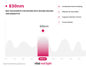 Infographic showcasing the transformative effects of the 830nm wavelength in aiding wound healing and dermatitis. Features include accelerated recovery, infection control, and proven results through powerful red light frequencies that benefit the body.