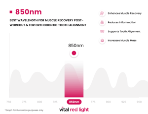 Explore the transformative effects of the 850nm wavelength in this infographic. Discover benefits like enhanced muscle recovery, reduced inflammation, tooth alignment support, and increased muscle mass. Visuals include a graph for illustration. "Vital Red Light" at the bottom.