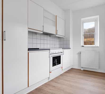 apartment Lys og moderniseret 3-værelses i Grejsåparken