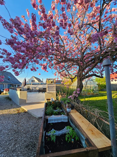 Fully Renovated Apartment in Sandby / Svinninge - Sandby, Svinninge - 1