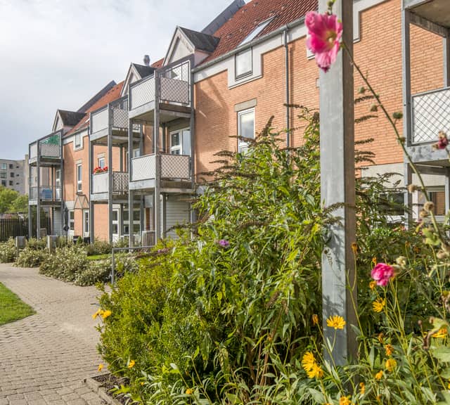 apartment Fin lejlighed på 93 m2