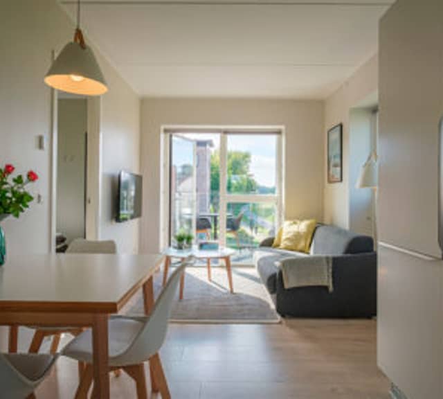apartment Furnished and modern 2-room apartment with balcony