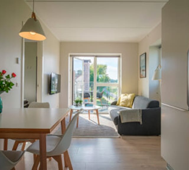 apartment Furnished and modern 2-room apartment with balcony
