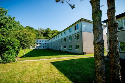 Lejeboliger i Aabenraa med 1-2 værelser i etagebyggeri - Nybro, Aabenraa - 1