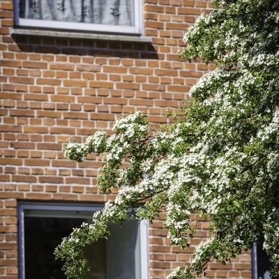 Dejlig apartment - Hunsballevej, Holstebro - 3