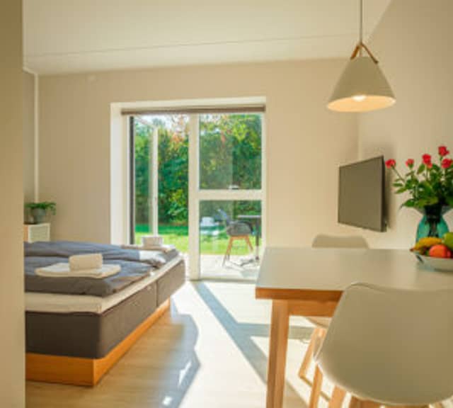 apartment Møbleret stort studio med terrasse