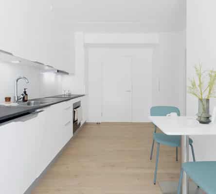 apartment Lys lejlighed med altan, åbent køkken og vaskesøjle