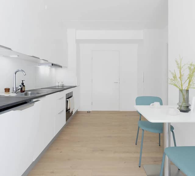apartment Lys lejlighed med altan, åbent køkken og vaskesøjle