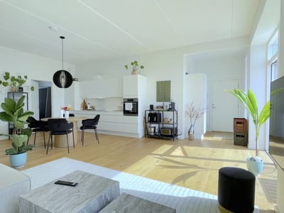 Top-floor apartment with sunny south-facing balcony and park view - Stigsborg Parkvej, Nørresundby - 1