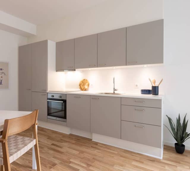 apartment Furnished 3-room apartment with balconies and rooftop terraces