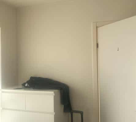 apartment Cozy natural quiet surroundings. Newly renovated, newly painted, new American kitchen
