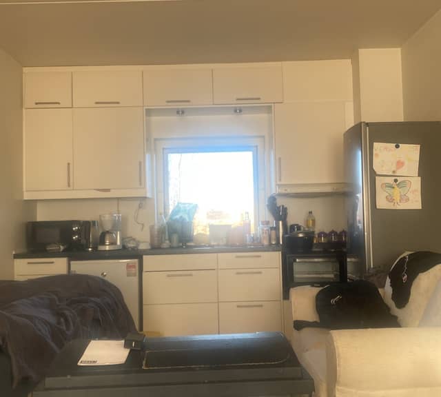 apartment Hyggeligt nyt lejlighed bahg city 2 i naturlige omgivelser kun 3 min til tog og 15 min til kbh