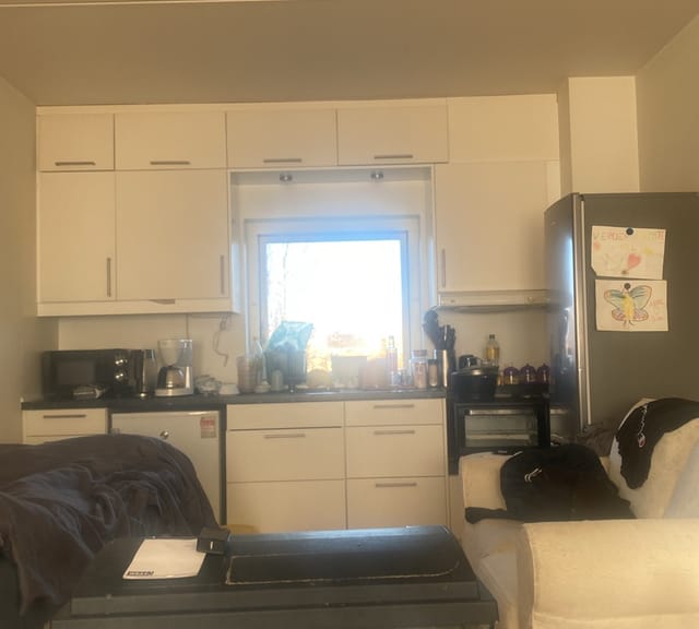 apartment Hyggeligt nyt lejlighed bahg city 2 i naturlige omgivelser kun 3 min til tog og 15 min til kbh
