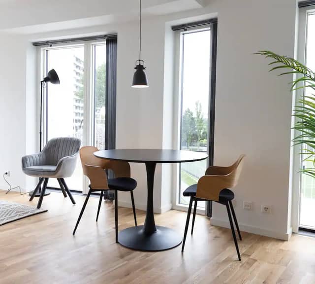 apartment Furnished 1-Room Apartment with Balconies