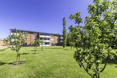 Lovely apartment - Dyssegården, Holstebro - 4