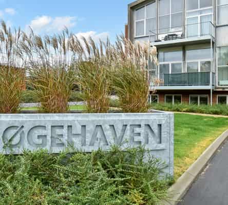 apartment Hyggelig nyrenoveret lejlighed i Hammerum