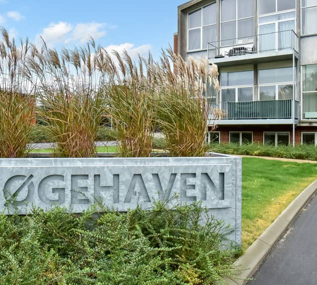 apartment Hyggelig nyrenoveret lejlighed i Hammerum
