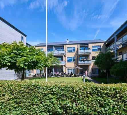 apartment Tidsbegrænset lejemål