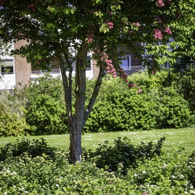 Dejlig apartment - Hunsballevej, Holstebro - 2