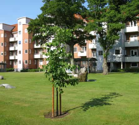 apartment Lejlighed til god pris