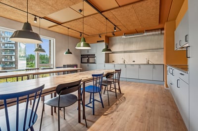 Bright 1-room apartment of 29 m² in an active community - Gammelhavn, Vejle - 1