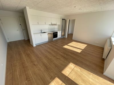 Bright senior apartment centrally located in Kolding - Nytorv, Kolding - 3