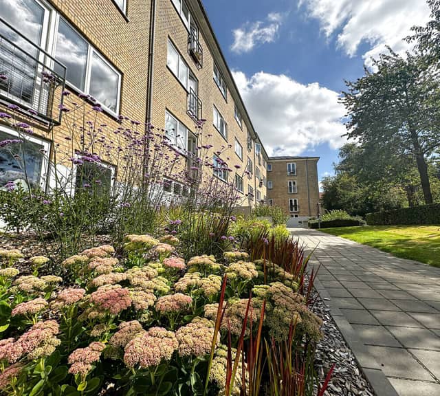 apartment Prisvenlig lejlighed