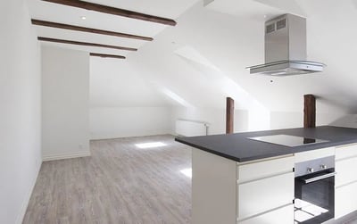 Charming top-floor apartment in Vestbyen, Aalborg - Ryesgade, Aalborg - 3