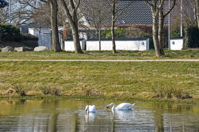 Nyistandsat villa tæt på strand og natursø, 159+70 m² - Hjertingvej, Esbjerg - 2