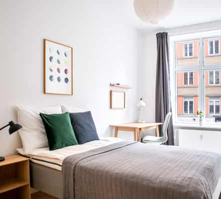 room Furnished room in renovated 7-room apartment