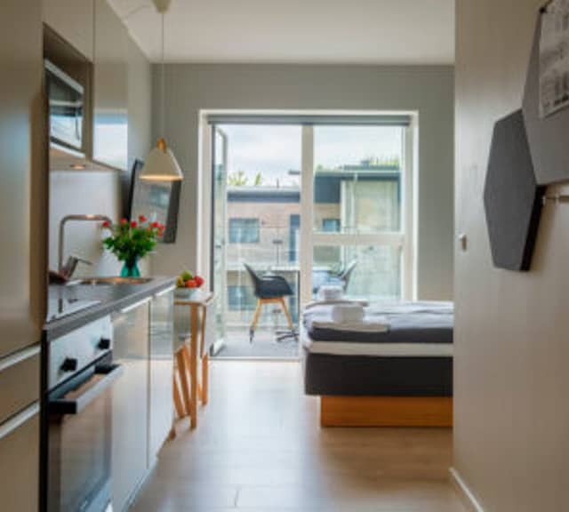 apartment Møbleret studio med privat terrasse