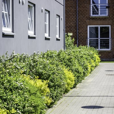Lovely apartment - Hunsballevej, Holstebro - 2