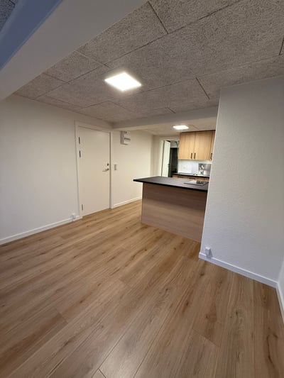 Lys 1-værelses lejlighed centralt i Frederikshavn - Danmarksgade, Frederikshavn - 4