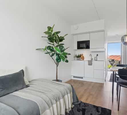 apartment Lys studio i Nordvest tæt på Nørrebrogade