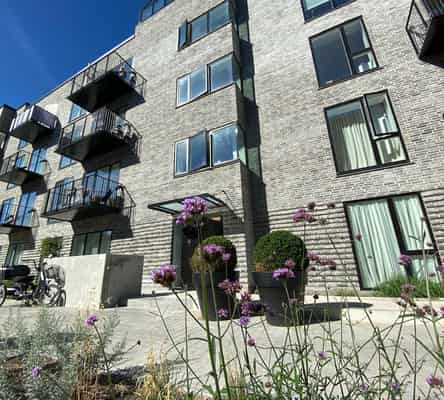 apartment Lys 3-værelses lejlighed med terrasse i Odense M