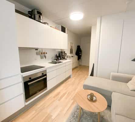 apartment Møbleret 2-vær. lejlighed med stor altan