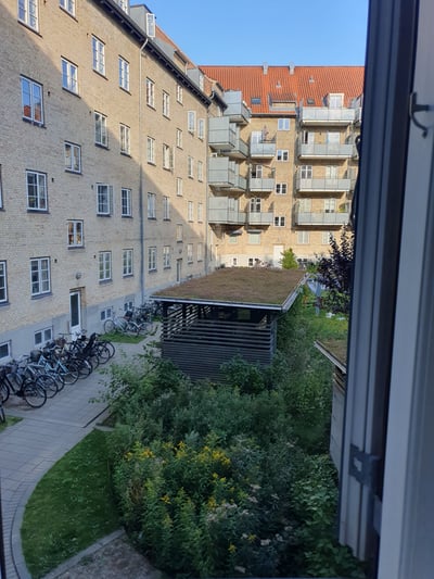 Roomie til en dame  - Elmelundevej, Brønshøj - 2
