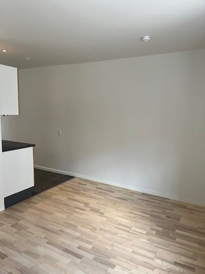 Lækker 1-værelses - Frederiksgade, Skive - 1